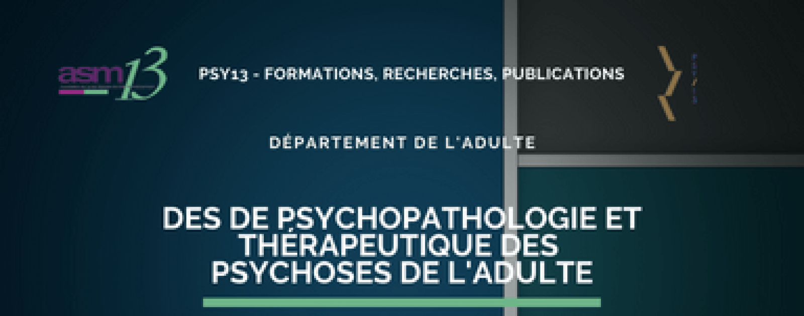 DES de psychopathologie et thérapeutique des psychoses de l'adulte